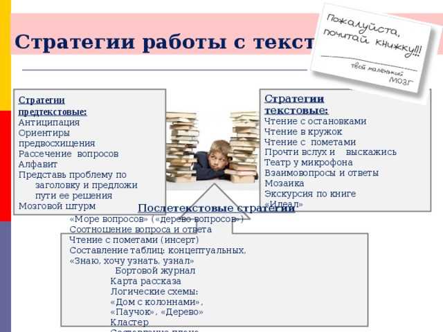 Структура и организация информации